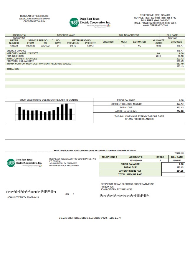 USA Deep East Texas Electric utility bill template in Word and PDF format